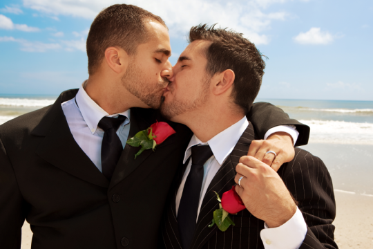 gay- gamos